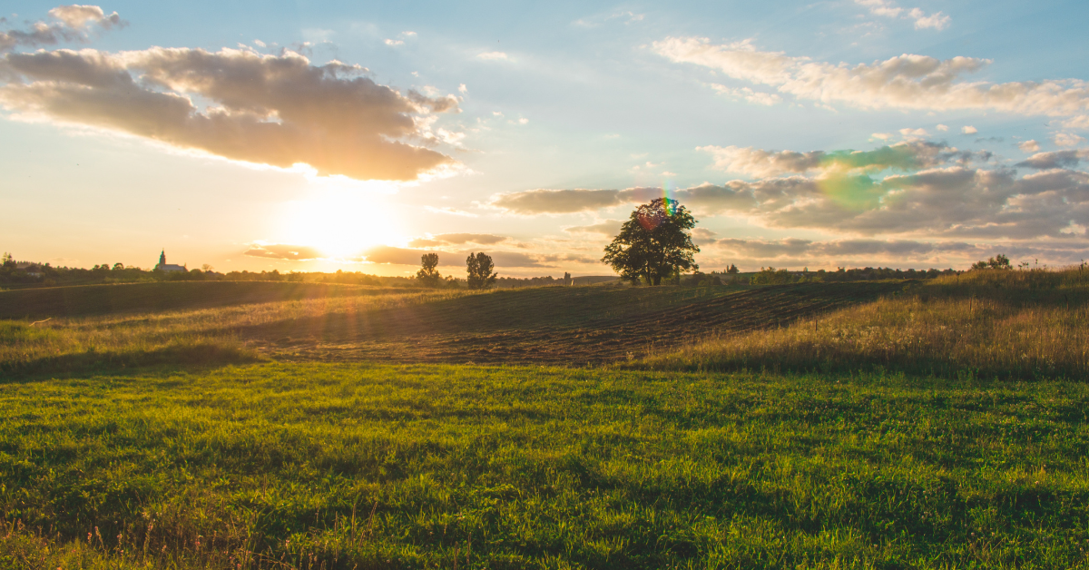 Photo of sun rising over farmland, depicting new solar funding opportunities for farmers through USDA's REAP program.